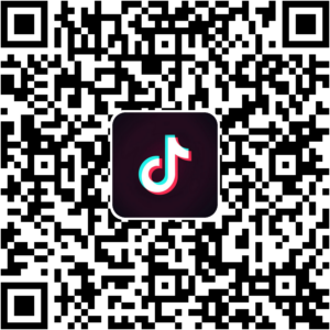 抖音小程序